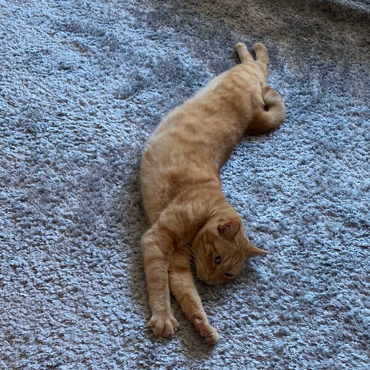 F66613fa 567c 4c8d 975b 2696680962f2 1623643506388