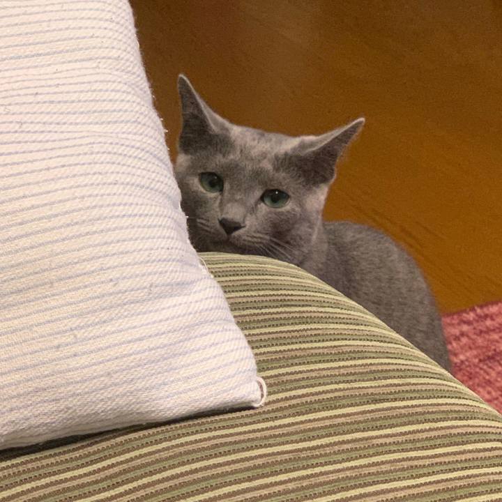 F6663620 7081 4ba6 863e 3031fded794e 1575447418236