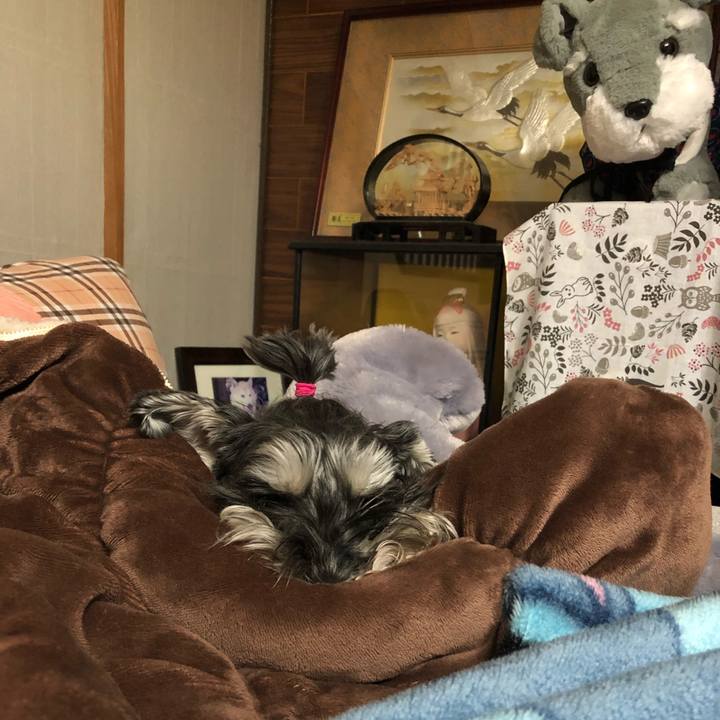 F6664c70 9b18 45e8 aa11 639d5bd3fe73 1616313511977