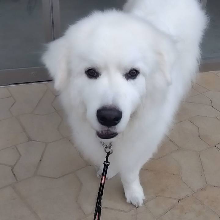 F66656e8 5f2b 442a a743 5650ed0a831d 1685491105034