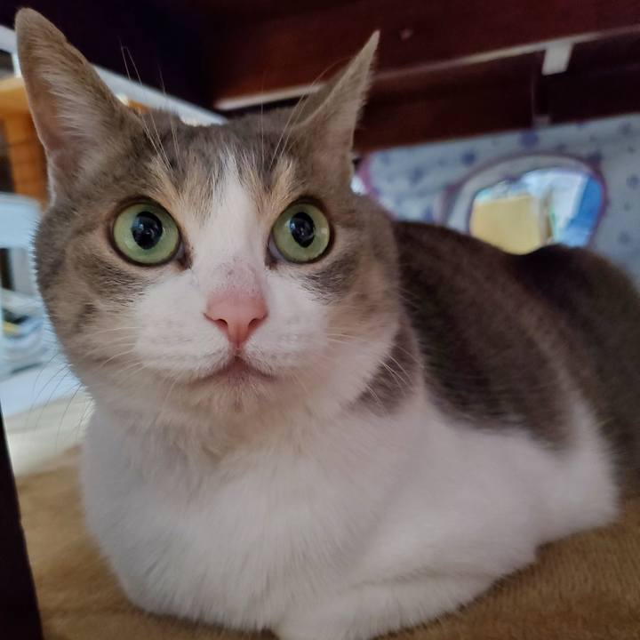 F6665913 46a7 4e26 a047 f0a1f649f354 1716067710553