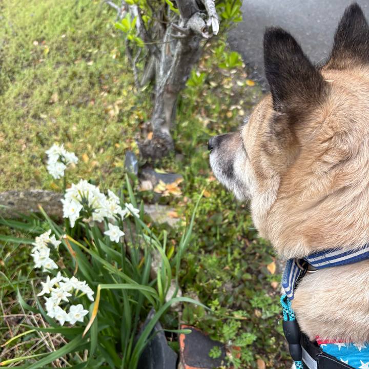 F66694df 2ab0 48b4 9df4 35bdce71937d 1744288840135