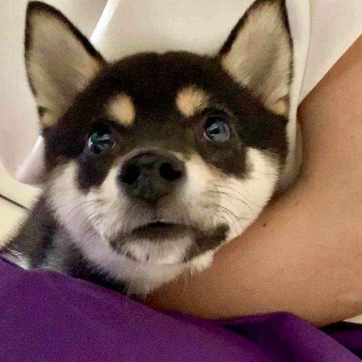 F666c131 dab7 4f27 8012 c8e4cc823377 1560506451685