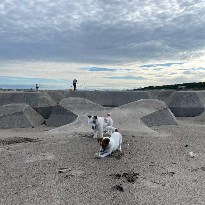 F666d971 0aae 44fc b97a dc8705420a0c 1659656527746