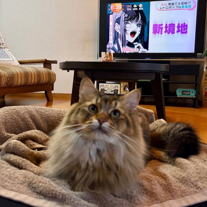 F667554d be1e 421f 982e 3c93dd3519c9 1762382572847