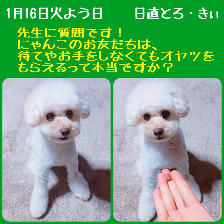 F667583f 1e4c 4286 88b1 75fa38a77c1f 1516089835478