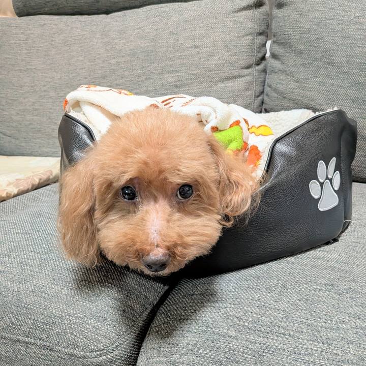 F6676383 929c 4465 8b6f cd7f392b0fed 1766826267394