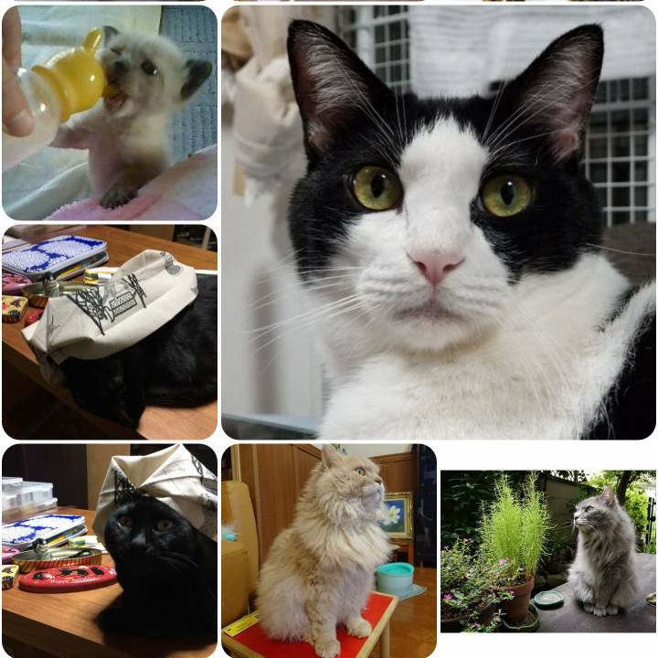 F6676a38 8ecb 4a10 804c 90a2ba5eac93 1567602962537