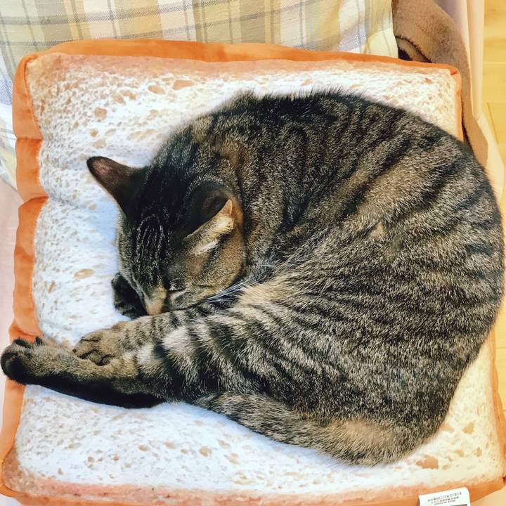 F6678b58 fbbc 4f6a b683 f3a44c4a636f 1518669173542