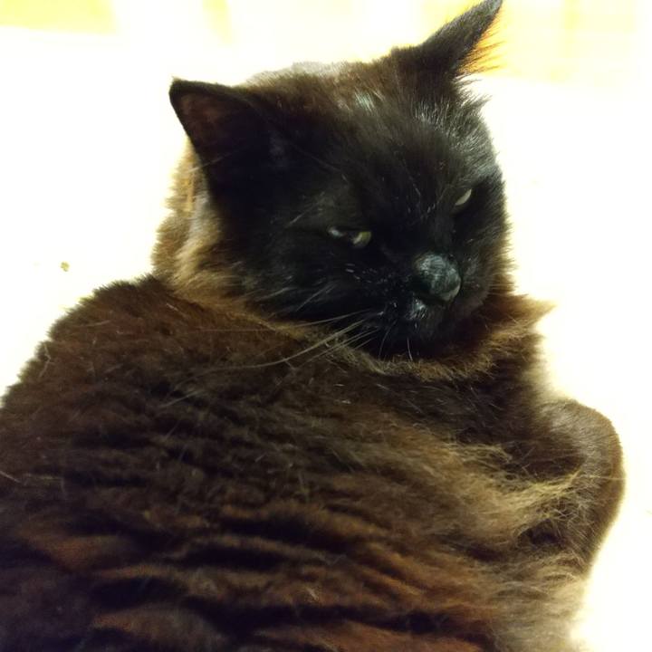 F6679a0c 62f0 4969 9ff4 ff4f3f2c30f5 1649061928198