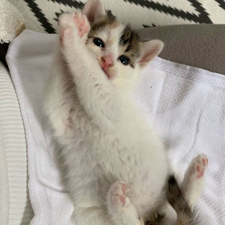 F667a209 6180 4311 b703 c61678b98bb4 1589330383678