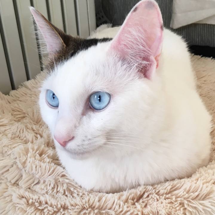 F667bae5 c5f3 4ae4 aa04 9606ec28c77a 1519787160892