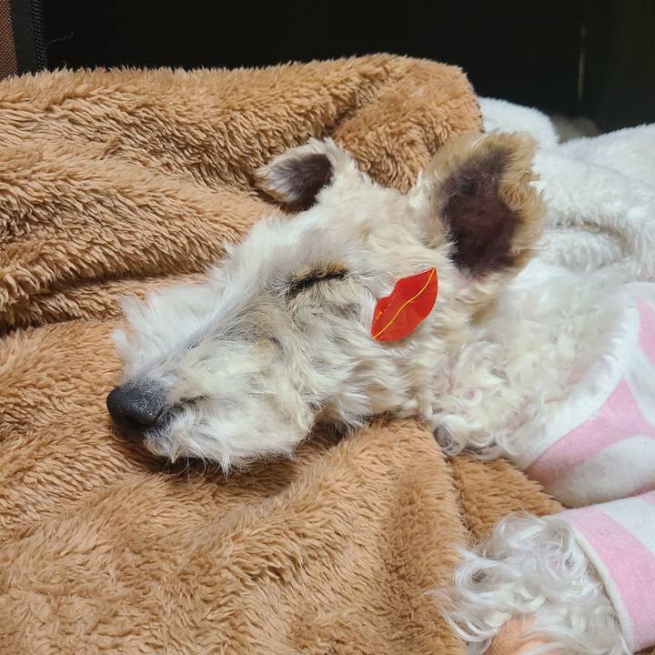 F667c287 ab5a 43e4 af1c 715eb4b97abd 1673178244566