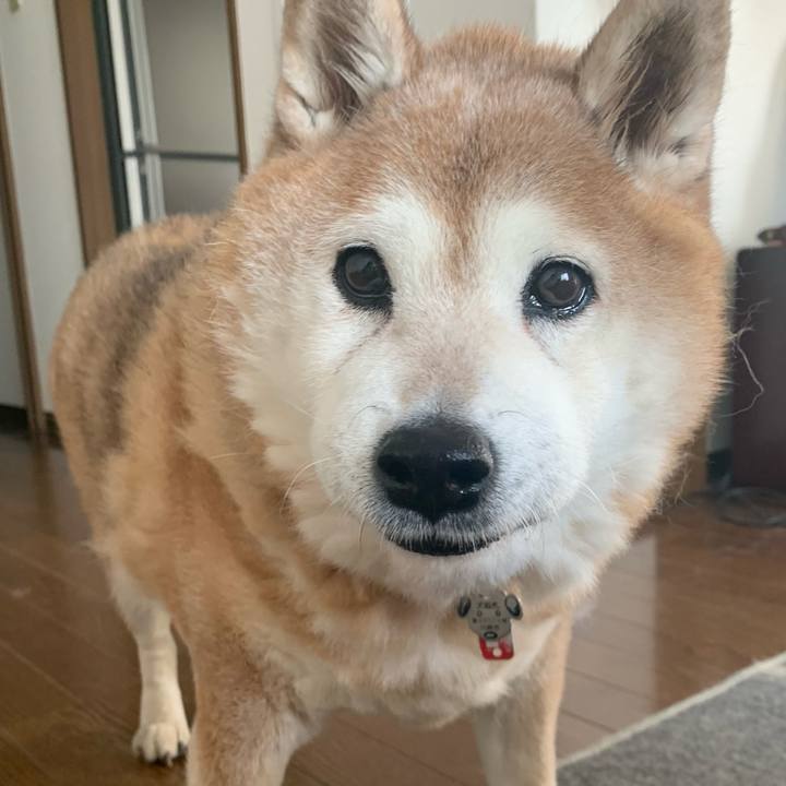 F667d86f 681e 4f61 aef9 5019495aad10 1612674456476