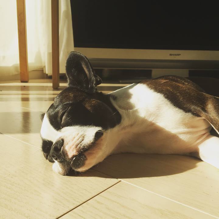 F667e81c e35e 44a5 b28d 915713ae4aa6 1542719692934