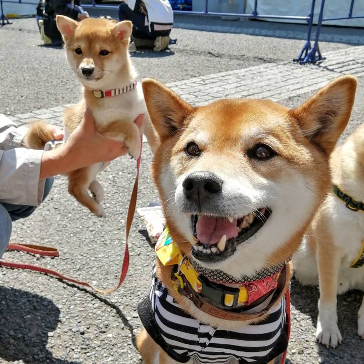 F667eb1c b814 4c1a 9687 a4559df85a6d 1618069620126