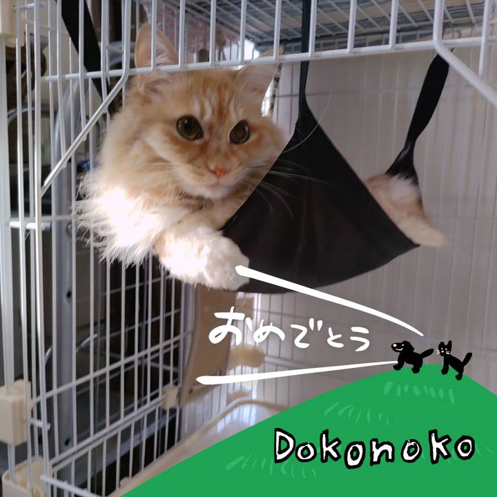 F66809bc e393 45a0 a3f0 070e6b371f27 1686002806813