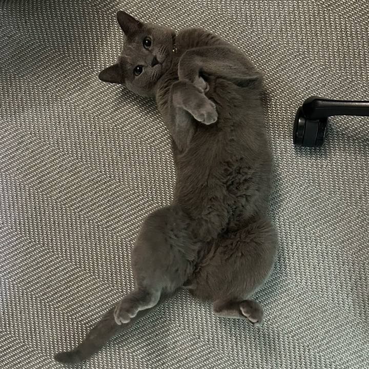 F6683722 18c4 4a6d be03 ce8d5e3b70aa 1719278583912