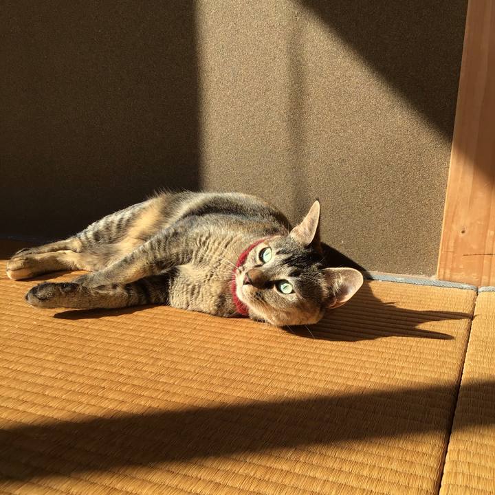 F668440f 20d8 4862 af3e 862eb213f9b4 1603240282382