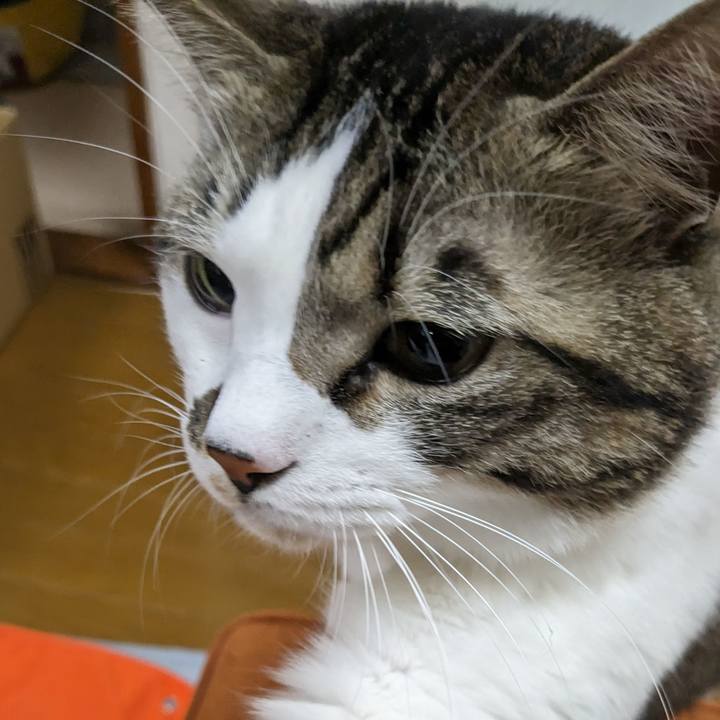 F6686a39 d3b6 4064 a4aa fa956eaeb6c4 1704281687536