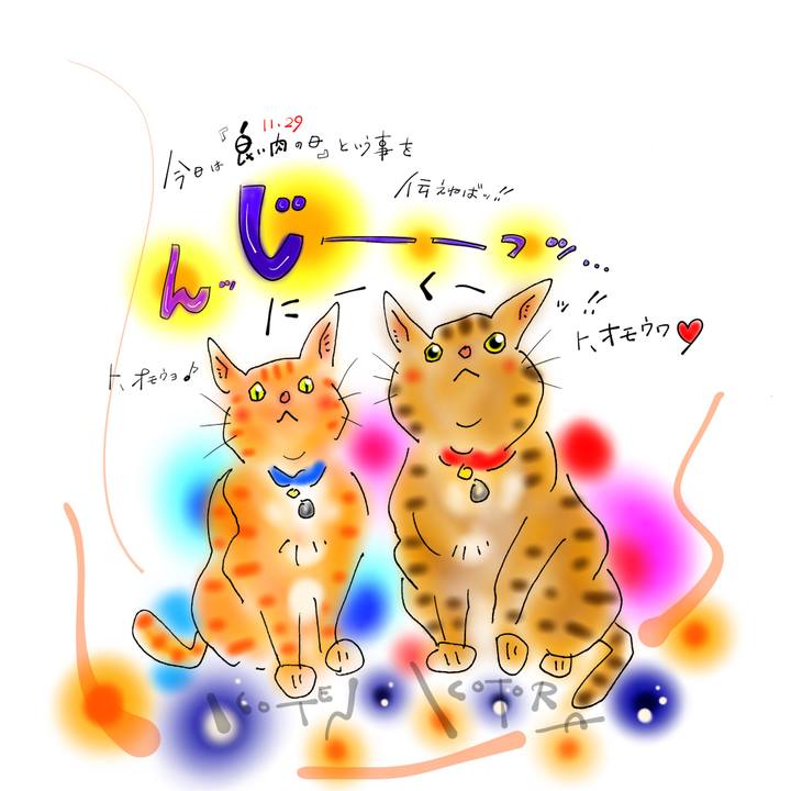 F6686edf 31c1 4cb9 a121 aadbb769a18e 1638140774892