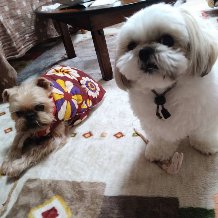 F668841a e4f3 40ce 9d76 61d4f4735f52 1640961817192