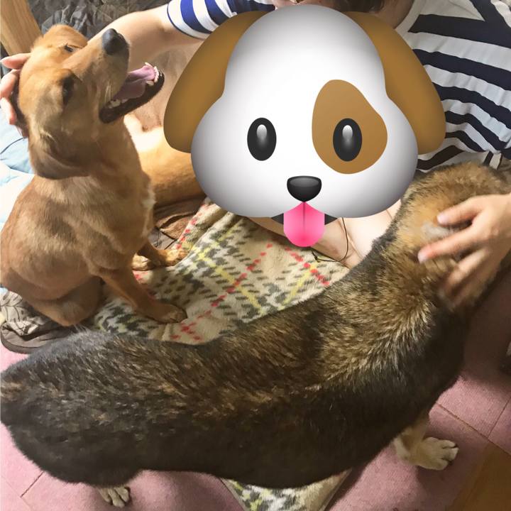 F6688d86 9526 4fe1 bc88 3fd2993fb854 1533800381550