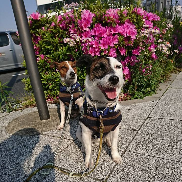 F668e6f3 1f35 44a9 ae0f fb045b83ac6c 1588372392025