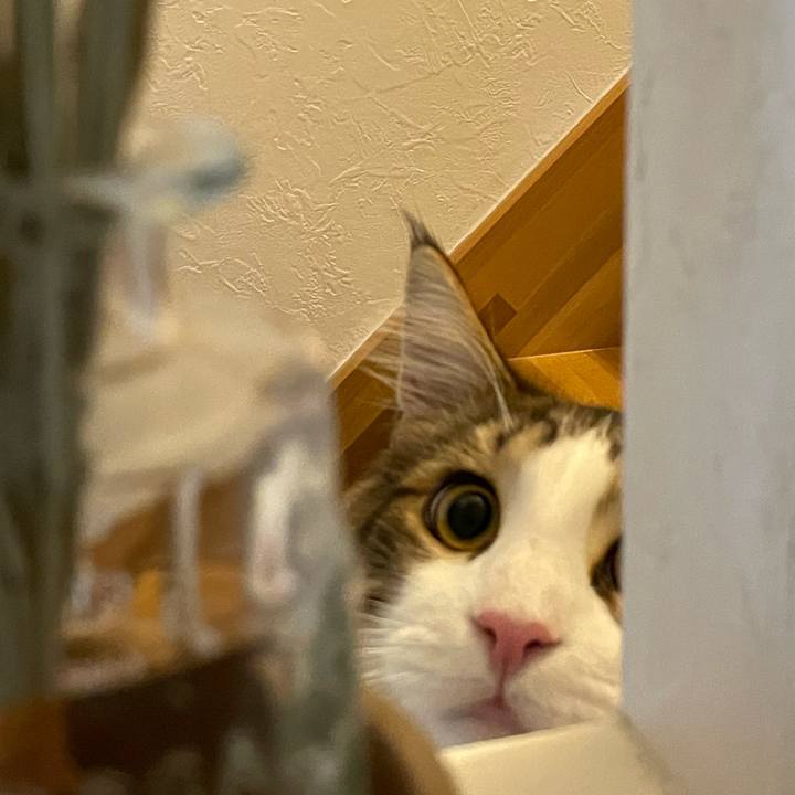 F6695741 6bc0 4ecc 8ed2 ee2eb0b64596 1643714996868