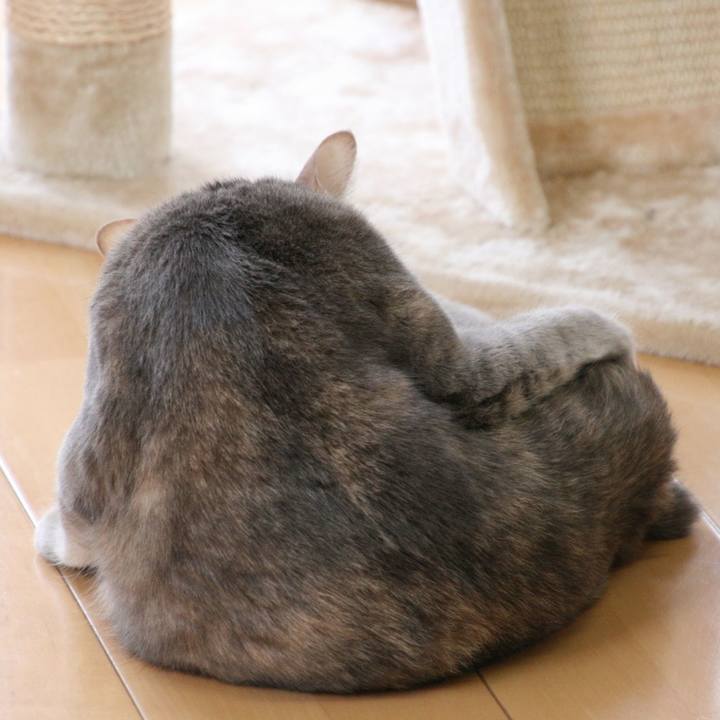 F669725e 2b8f 4243 8909 6ce05d503052 1524625760785