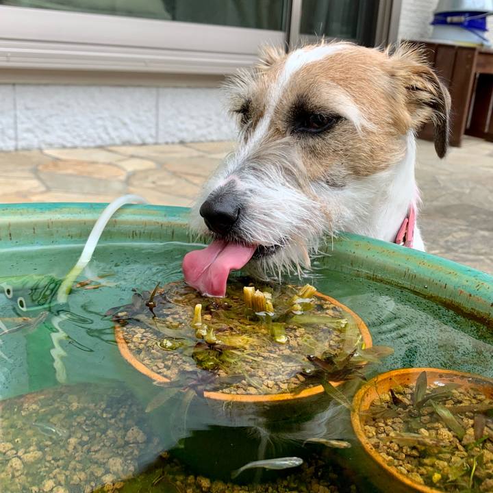 F669bd62 7bd9 4f4e 9c5f 0f20fffdc124 1616906458152