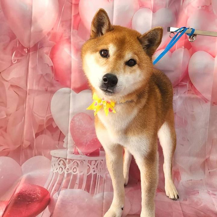 F669c5eb 91ab 42bd b55e 8c4428501499 1738917155368