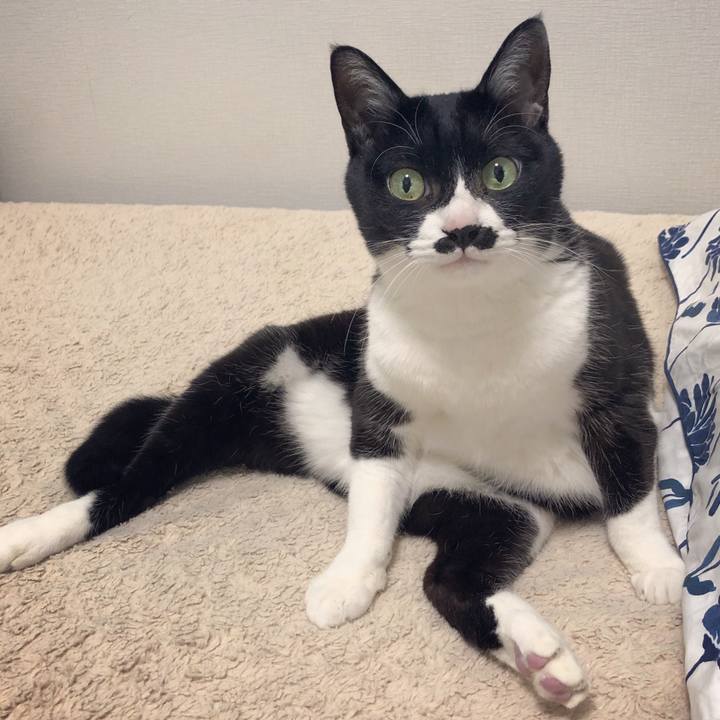 F669d9e5 3621 4e71 9dd7 25c0e07ca1fc 1611067890613