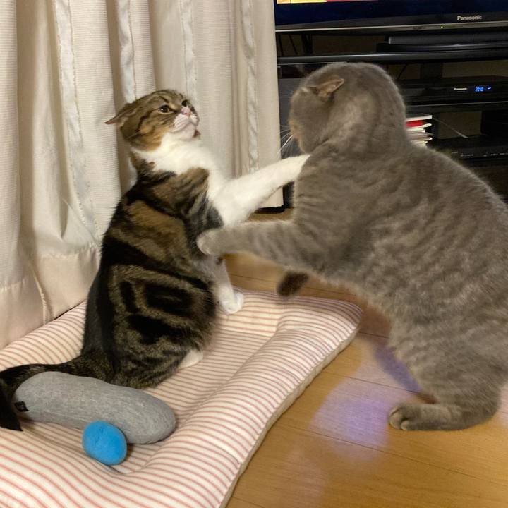 F669dea6 f1b5 4057 a2ca 57d3f84c4c0e 1762643336030