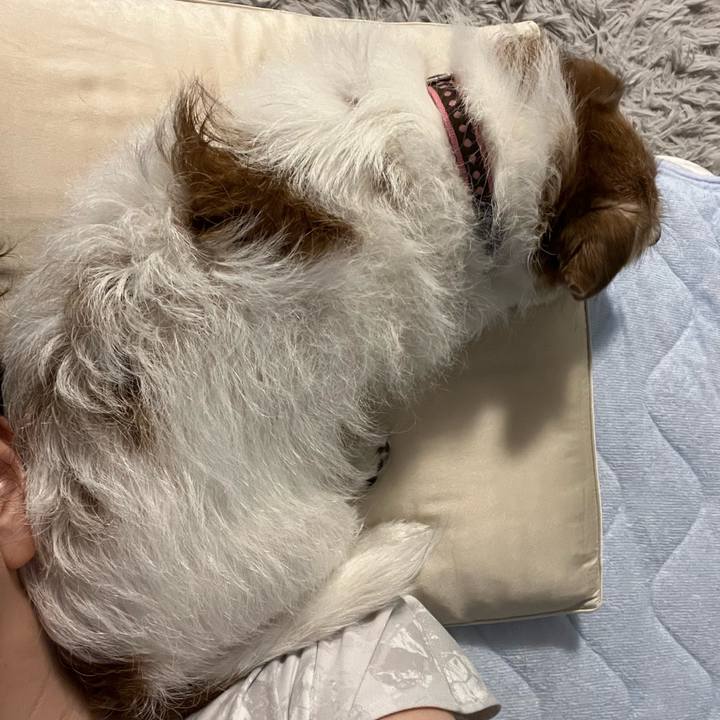 F66a1775 ea52 4d7a b31d ecba72e7f1c9 1720777952873