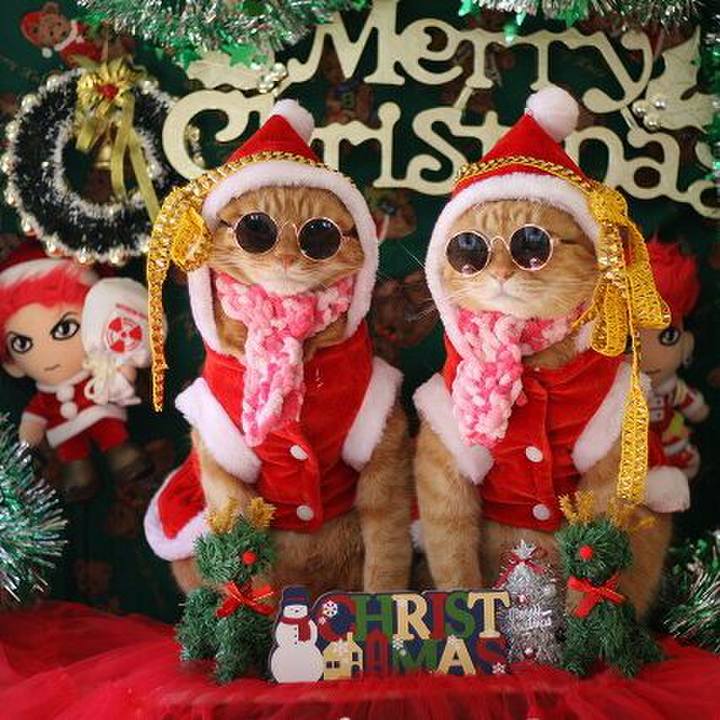 F66a1ea3 ce91 467d 8e7f cb1d1e503760 1545543952958