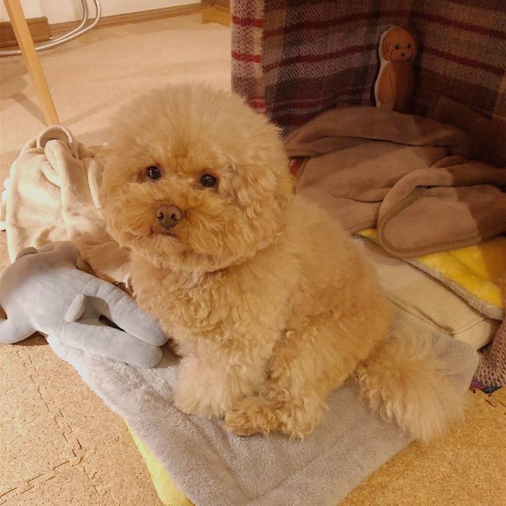 F66a1ebf afc9 47ce 9a28 8fe06a2646a6 1513894982521