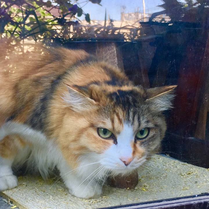 F66a3429 326e 4619 940e 59f9d83d588f 1559185004817