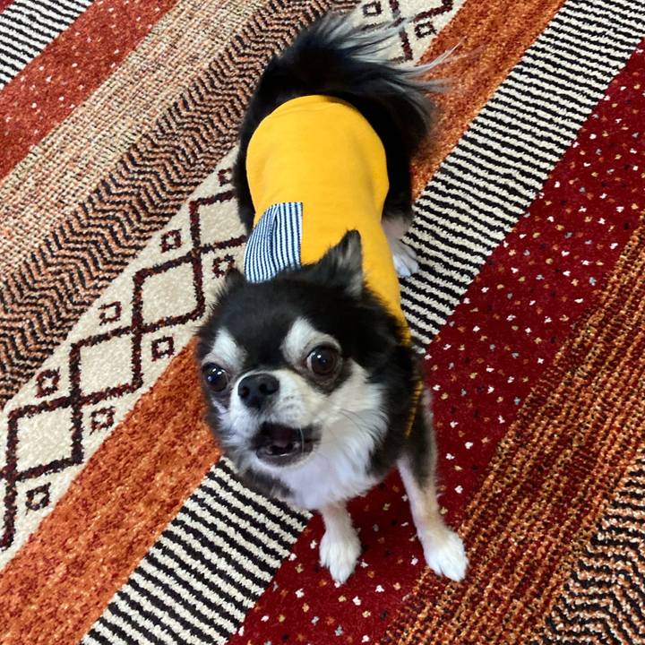 F66adafb e1e3 4151 80b7 71ab5046d11d 1673274842745