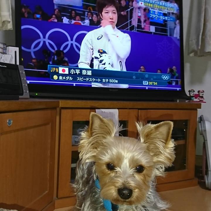 F66b5f98 8d0b 4415 b7c8 419bc1be30d2 1518958562377