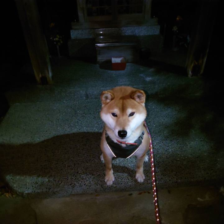 F66b676b 0947 4ea6 bc3f 563f08de24df 1769558562236