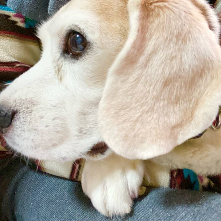 F66b71cb 7bb4 409d 81dd fdd8077979c4 1668398470384