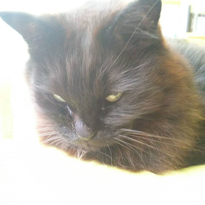 F66b8e0b f41d 47c9 a1c7 f49f91fccbf6 1550444580437