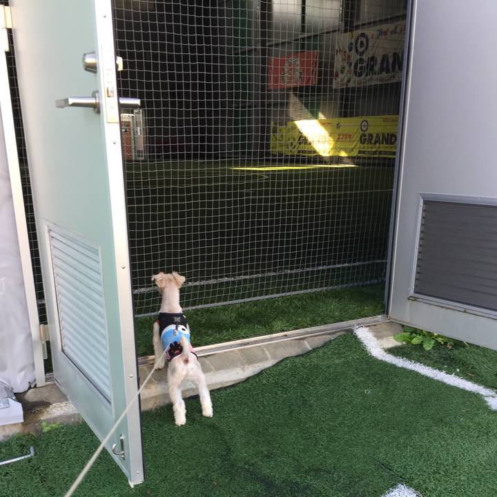 F66ba7e6 8e70 484d a52c 57942622e77c 1540625649472