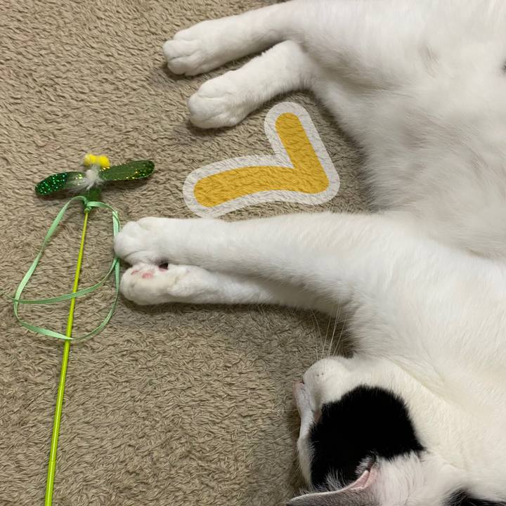 F66bbe17 4855 4a53 b165 9b8c7e4dbab6 1688049015824