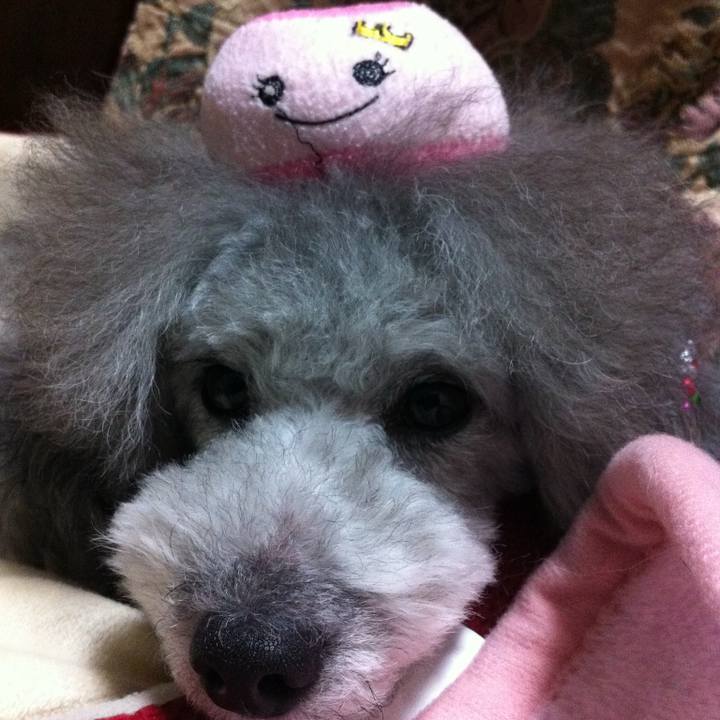 F66bca3c 3c62 4609 9bd9 e39a455eb823 1768316137743