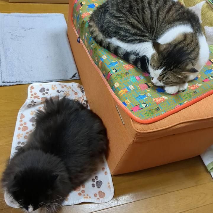 F66be8e2 00a0 4664 9241 20b52bbad8e8 1685265844059