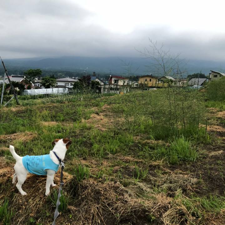 F66bf23b 2f0b 4592 b130 db20b52806d6 1528464549254