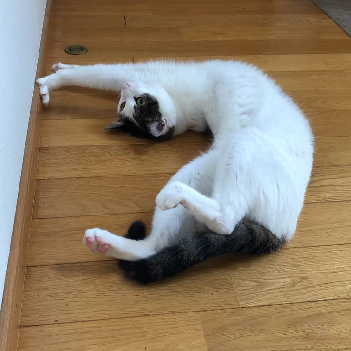 F66bf74c 003b 416c 88e2 c2db37896dc9 1597367069659