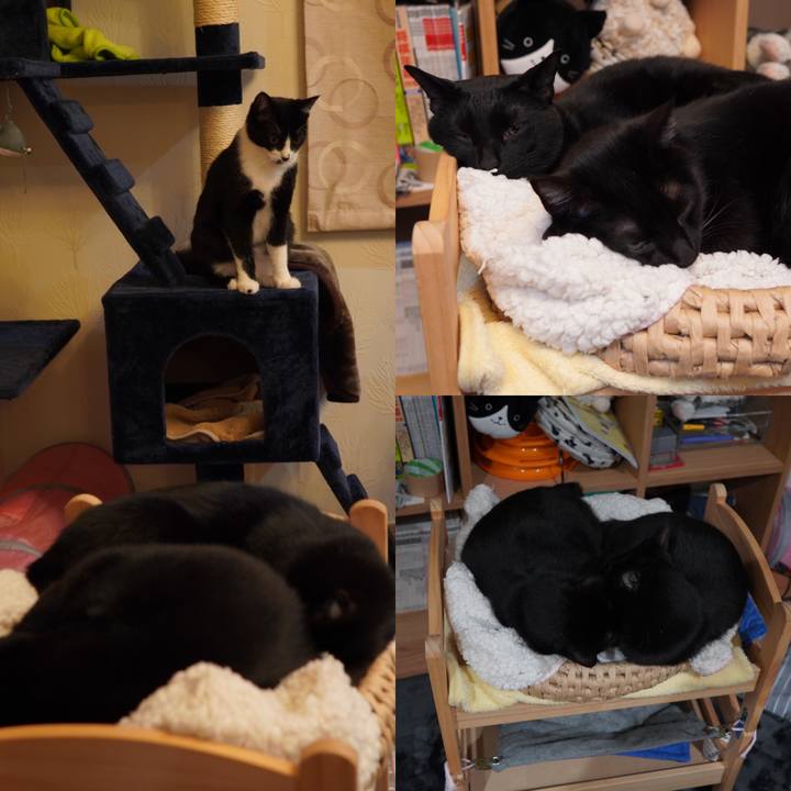 F66bf9f5 014d 43fa a6c4 478ac3a8c89d 1587014904470